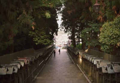 Walkway along trees in park