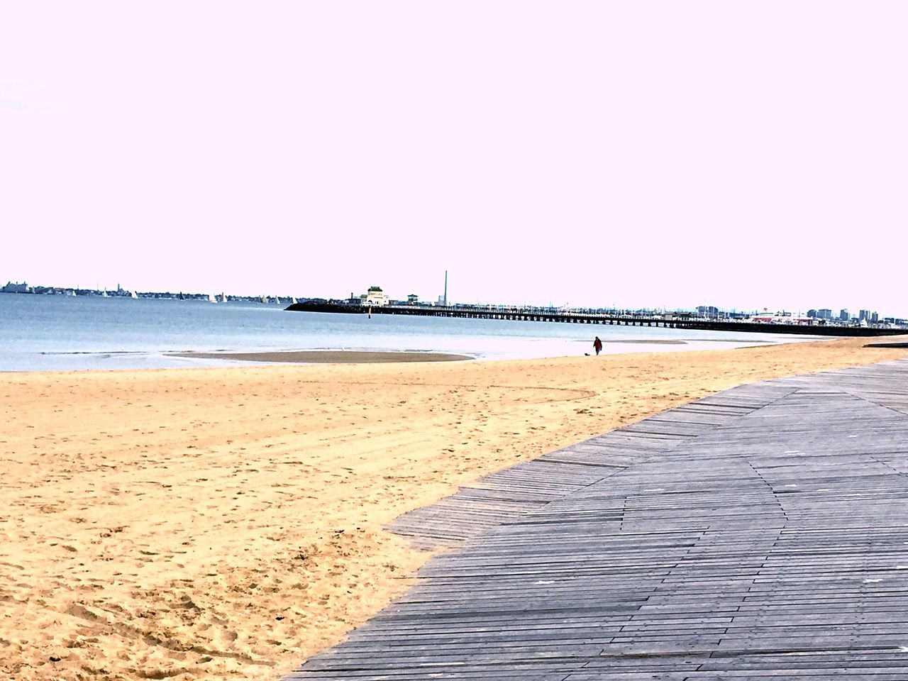 beach, sand, sea, clear sky, shore, copy space, water, tranquil scene, tranquility, horizon over water, scenics, nature, beauty in nature, incidental people, footprint, coastline, day, outdoors, idyllic, bird