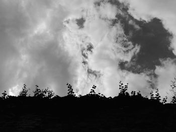 Low angle view of silhouette trees against sky