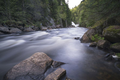 River flowing amidst rocks in forest against sky