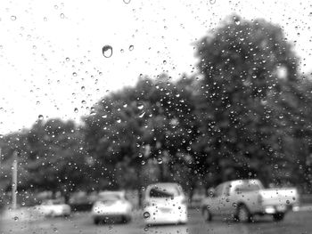 Close-up of water drops on glass