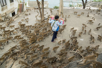 High angle view of boy standing on beach