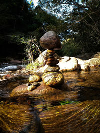 Stack of stones in forest