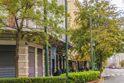 Plants growing by building in city