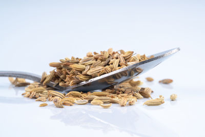 Close-up of food on table against white background