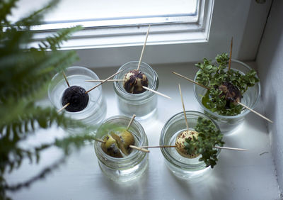 High angle view of toothpicks pierced on food in containers by window