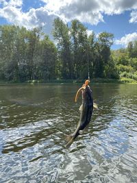 View of fish in lake