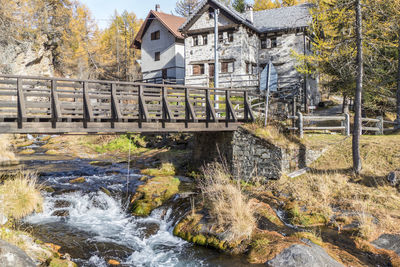 Plants growing by river against building