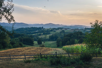 Scenic view of field against sky during sunset