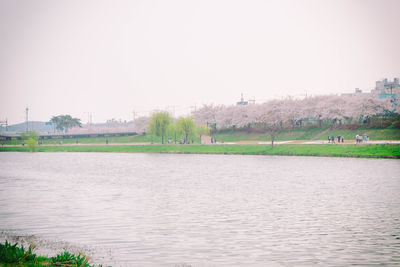 Scenic view of river against clear sky