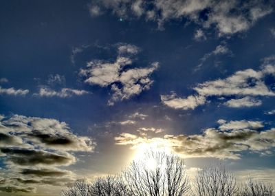 Low angle view of tree against cloudy sky