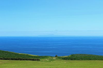 Scenic view of landscape against blue sky