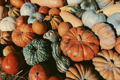 High angle view of pumpkins for sale at market