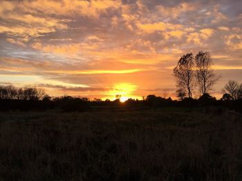 Scenic view of field against orange sky