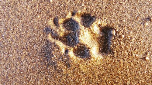 High angle view of sand on beach