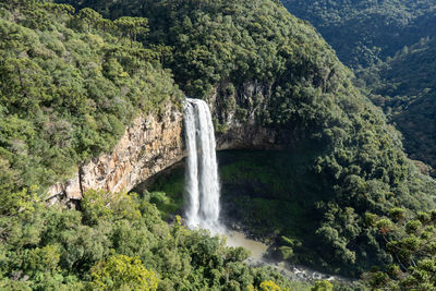 Scenic view of waterfall in forest