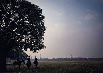 View of horses on field against sky
