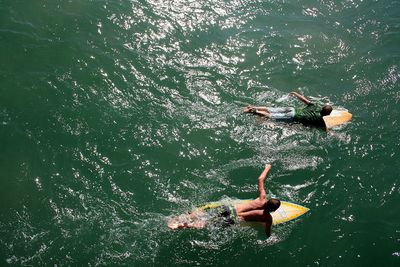 High angle view of people swimming on surfboard in sea