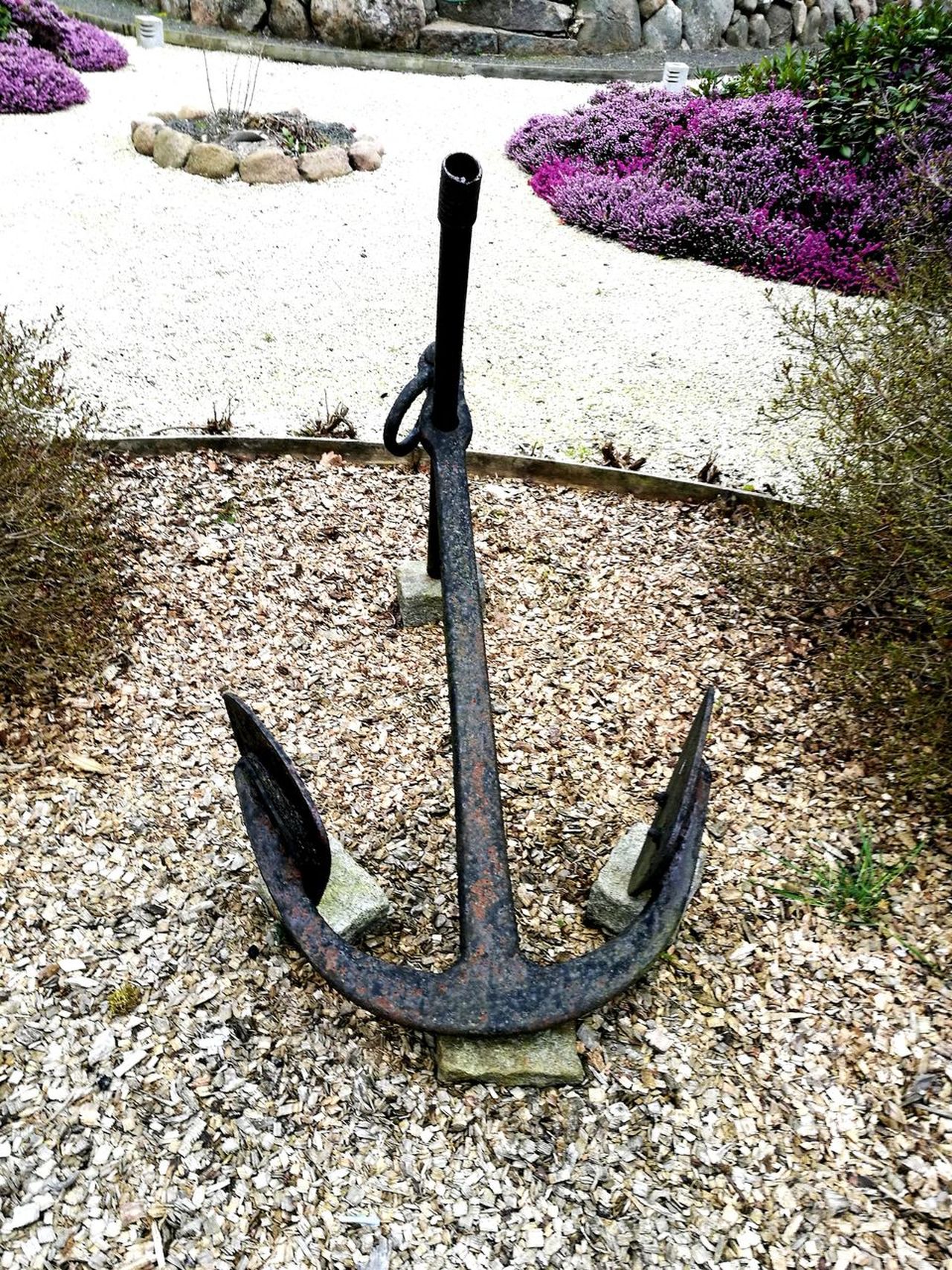 Anchor in the garden