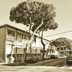 Cars on road against building