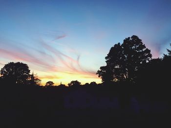 Silhouette of trees at sunset