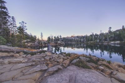 Scenic view of calm lake at forest