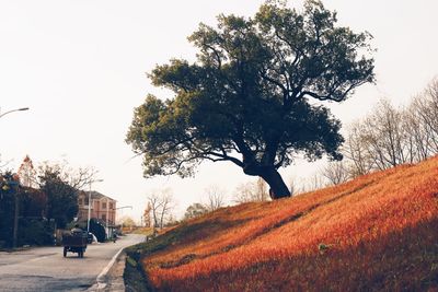 Man walking on road against clear sky