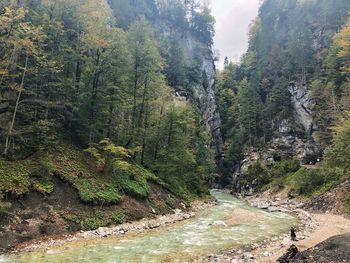 High angle view of waterfall amidst trees in forest
