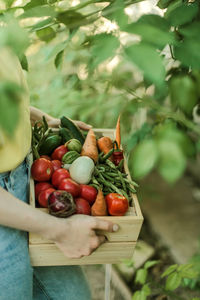 Cropped hand of woman holding fruit