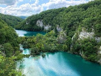 Scenic view of river amidst trees in forest against sky