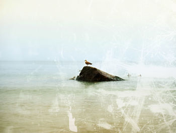 Lens defect. long exposure of sea and big boulders sticking up from water within twilight time. 