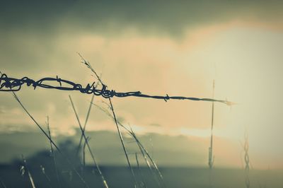 Barbed wire against sky at sunset