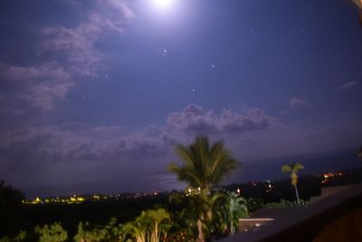 Trees on landscape at night