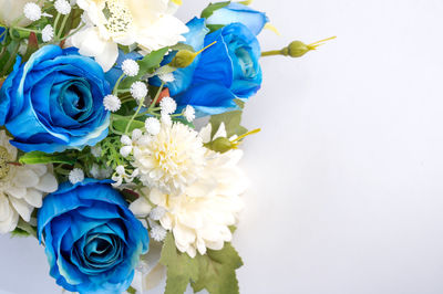 Close-up of white rose against blue background