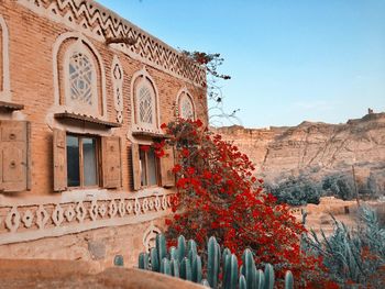 Low angle view of historic building and flowering plants against clear sky