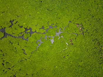 Full frame shot of weathered wall