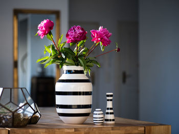 Close-up of pink flower in pot