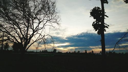 Silhouette of bare tree against cloudy sky