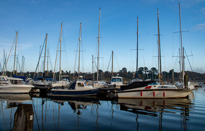 Sailboats moored in harbor