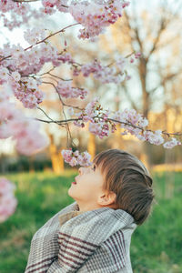 Portrait of a little boy wrapped in a blanket enjoying cherry blossoms in a city park.