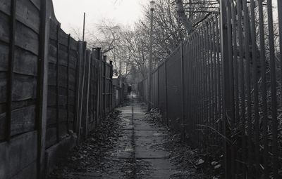 Pathway amidst fences