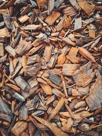 Full frame shot of wood shavings in forest