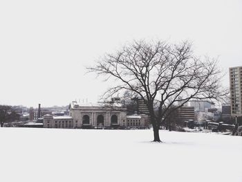 Snow covered trees in winter