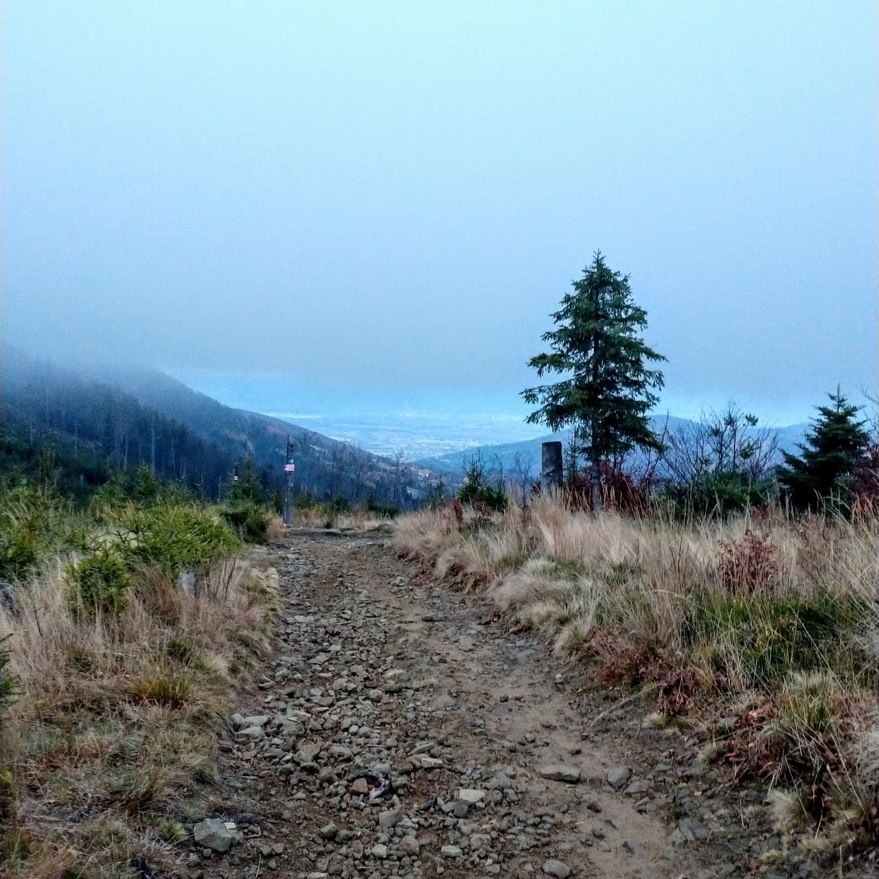 SCENIC VIEW OF LAND AGAINST SKY