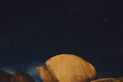 Low angle view of star field against sky at night