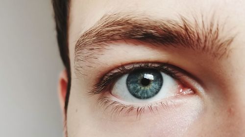 Close-up portrait of human eye