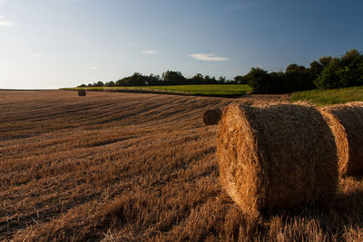 Agricultural field against sky