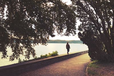 Rear view of woman walking on road amidst trees