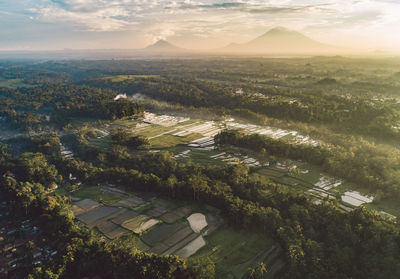 High angle view of rice fields against sky