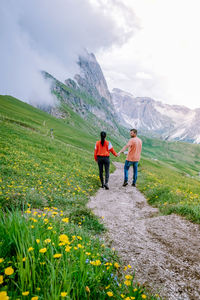 Rear view of couple holding hands looking at mountain